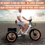 3SCORE Electric Fat Trike 750W Motor and 48V Lithium Rechargeable Battery - Foldable Electric Tricycle - Etrike 24 Inch Fat Tire (Royal White 1 X Battery Pack, Fat Tire)