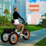 3SCORE Electric Fat Trike 750W Motor and 48V Lithium Rechargeable Battery - Foldable Electric Tricycle - Etrike 24 Inch Fat Tire (Royal White 1 X Battery Pack, Fat Tire)