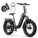 SISIGAD Electric Bike for Adults,1000 W Peak 28 MPH Brushless Motor Fat Tire E Bike,48 V 500 WH Removable Larger Battery,20" x 4.0 E Bike,with Hydraulic Suspension and 7-Speed E-Bike（Black）