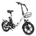 Qlife 16" Folding Electric Bike with Peak 500W 20 MPH Brushless Motor, 280Wh Removable Battery, 16X2.5 Tire Step Through Mini Commuting Electric Bikes Gift for Adults & Teens, White with Front Basket