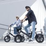 Windone S14 Foldable Electric Bike for Adults