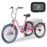 LILYPELLE Electric Tricycle for Adults, 350W 36V Electric Trike Motorized Three Wheel Electric Bicycle, 7 Speeds 3 Wheels 24" Adult Electric Tricycle with Large Basket