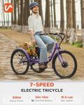 Viribus 350W Electric Tricycle for Adults