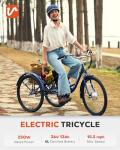 Viribus 250W Electric Trike for Adults with Basket