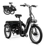 ACTBEST Electric Tricycle for Adults, Peak 1000W Motor 748.8Wh Ebike, 20x3.0 Fat Tire 3 Wheel Folding Electric Trike, Hydraulic Brake & Rear Motor Differential, Range to 65 Miles Black
