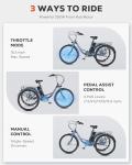Viribus 250W Electric Trike for Adults with Basket