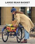 Viribus 250W Electric Trike for Adults with Basket