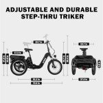 ACTBEST Electric Tricycle for Adults, Peak 1000W Motor 748.8Wh Ebike, 20x3.0 Fat Tire 3 Wheel Folding Electric Trike, Hydraulic Brake & Rear Motor Differential, Range to 65 Miles Black