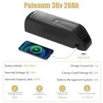 Puienum 36V 20Ah Ebike Battery,5pin Electric Bicycle Lithium Battery Pack 40A BMS,with 2A Fast Charger for 0-1800W E-Bike Scooter Motor,USB Interface,Safe Lock,Led Indicator Light
