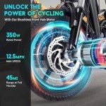DRNANLIT Electric Tricycle for Adults,3 Wheel Electric Bicycle for Men Women Senior,350W 48V 10.4Ah Ebike Trike with Basket (Black)