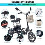 DRNANLIT Electric Tricycle for Adults,3 Wheel Electric Bicycle for Men Women Senior,350W 48V 10.4Ah Ebike Trike with Basket (Black)