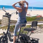 DRNANLIT Electric Tricycle for Adults,3 Wheel Electric Bicycle for Men Women Senior,350W 48V 10.4Ah Ebike Trike with Basket (Black)