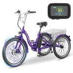 LILYPELLE 350W Adult Electric Tricycle with Basket