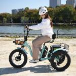 DoCred 500W Electric Tricycle for Adults