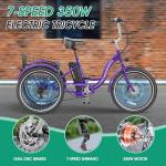 LILYPELLE 350W Adult Electric Tricycle with Basket