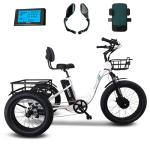 EMOJO Adult Electric Fat Tire Tricycle 500W