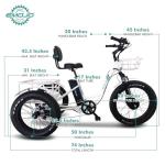 EMOJO Adult Electric Fat Tire Tricycle 500W
