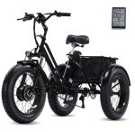 500W Electric Tricycle with Removable Battery