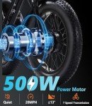 500W Electric Tricycle with Removable Battery