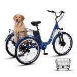 Luxevelo 500W Electric Trike with Hydraulic Brakes