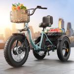 Adult Electric Tricycle with 50-Mile Range