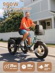 Adult Electric Tricycle with 50-Mile Range