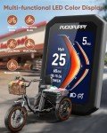 20" Fat Tire Electric Trike for Adults