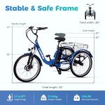 Luxevelo 500W Electric Trike with Hydraulic Brakes
