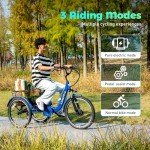 Luxevelo 500W Electric Trike with Hydraulic Brakes