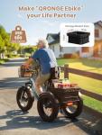 Adult Electric Tricycle with 50-Mile Range