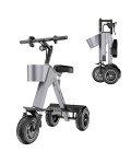 WLJD Folding Electric Trike for Adults