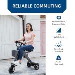 WLJD Folding Electric Trike for Adults
