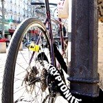 Kryptonite New York Legend Heavy-Duty Bike Chain Lock