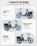 Viribus 20" Folding Electric Tricycle for Adults
