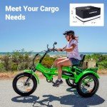ADDMOTOR 750W Electric Trike for Adults - Orange