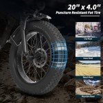 AIWARGOD 750W Folding Electric Bike for Adults