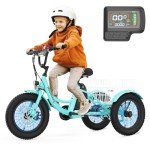 MOONCOOL Youth Electric Tricycle with Removable Battery