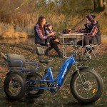 Zycle Z700 2-Seater Electric Tricycle for Adults