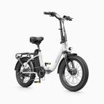 DYU 20" Folding Electric Bike for Adults