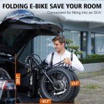 ACTBEST Knight Folding Electric Bike with 1000W Motor