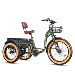 ADDMOTOR 750W Electric Trike for Adults