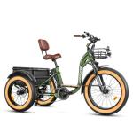 ADDMOTOR 750W Electric Trike for Adults