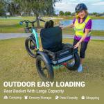 ADDMOTOR 750W Electric Trike for Adults