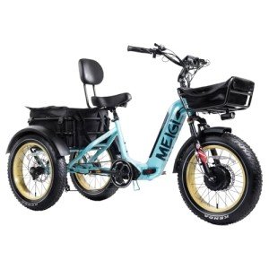 DWMEIGI 20" Electric Fat Tire Trike for Seniors