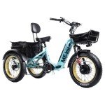 DWMEIGI 20" Electric Fat Tire Trike for Seniors