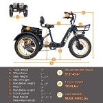 DWMEIGI 20" Electric Fat Tire Trike for Seniors