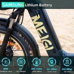 DWMEIGI 20" Electric Fat Tire Trike for Seniors