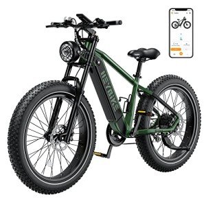 Heybike Brawn Green Electric Mountain Bike