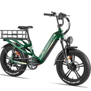 FREESKY 1200W Electric Fat Tire Bike