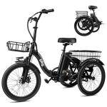 Qlife Triker Electric Folding Bike with 750W Motor